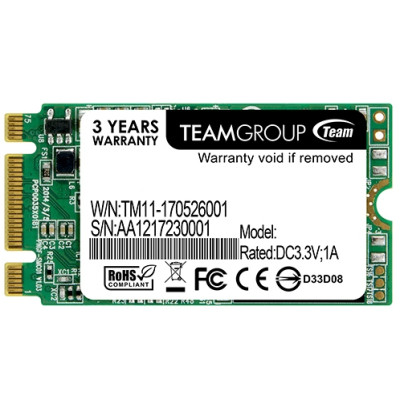 TEAM Lite M.2 256 GB (TM4PS5256GMC101)