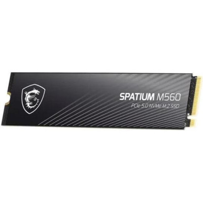 MSI Spatium M560 2 TB (S78-440Q940-P83)