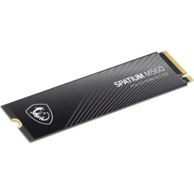 MSI Spatium M560 2 TB (S78-440Q940-P83)