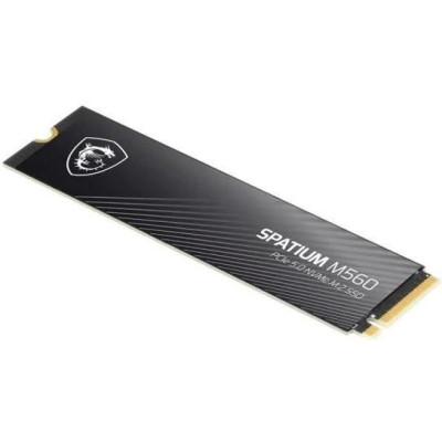 MSI Spatium M560 2 TB (S78-440Q940-P83)