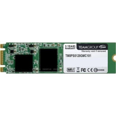 TEAM TM8PS5 Lite 128 GB (TM8PS5128GMC101)