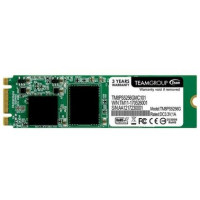 TEAM Lite M.2 256 GB (TM8PS5256GMC101)