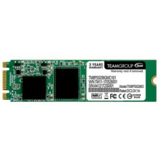 TEAM Lite M.2 256 GB (TM8PS5256GMC101)