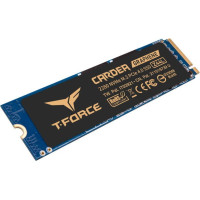 TEAM T-Force Cardea Z44L 1 TB (TM8FPL001T0C127)