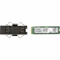 HP Z TurBo Drive 256 GB Z2 G4 (6EU82AA)