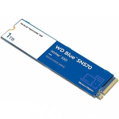 WD Blue SN570 1 TB (WDS100T3B0C)