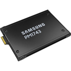 Samsung PM1743 1.92 TB (MZWLO1T9HCJR-00A07) 