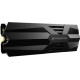 Acer Predator GM9000 Heatsink 2 TB (BL.9BWWR.140)