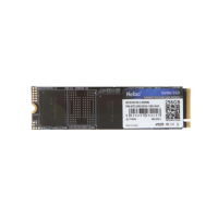 Netac NV2000 256 GB (NT01NV2000-256-E4X)
