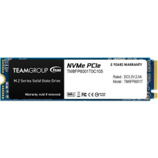 TEAM MP33 1 TB (TM8FP6001T0C101)
