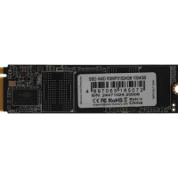 AMD Radeon 1TB (R3MP31024G8)
