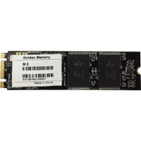Golden Memory 256 GB (AM256CGB)