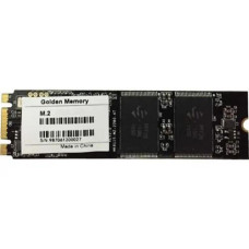 Golden Memory 256 GB (AM256CGB)