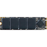 Lexar NM100 256 GB (LNM100-256RB)