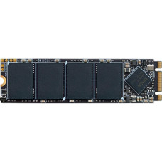 Lexar NM100 256 GB (LNM100-256RB)