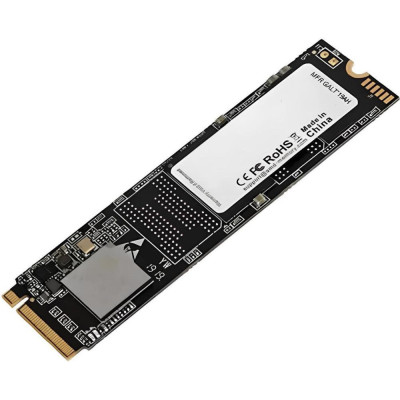 AMD Radeon 1TB (R3MS1024G8)