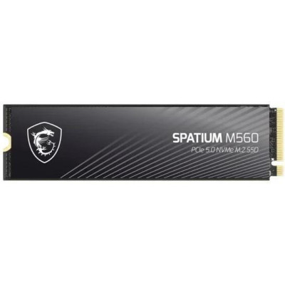 MSI Spatium M560 1 TB (S78-440L0F0-P83)