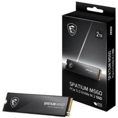 MSI Spatium M560 1 TB (S78-440L0F0-P83)