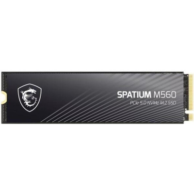 MSI Spatium M560 1 TB (S78-440L0F0-P83)