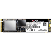 ADATA XPG SX7000 512 GB (ASX7000NP-512GT-C)