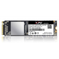 ADATA XPG SX6000 256 GB (ASX6000NP-256GT-C)