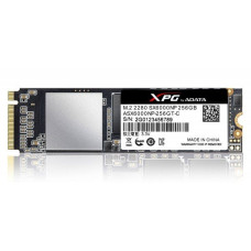 ADATA XPG SX6000 256 GB (ASX6000NP-256GT-C)