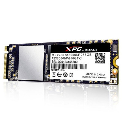 ADATA XPG SX6000 256 GB (ASX6000NP-256GT-C)