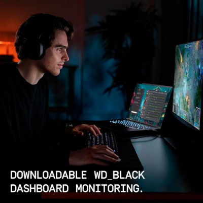 WD Black SN7100 (WDS100T4X0E-00CJA0)
