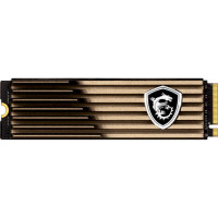 MSI Spatium M480 Pro HS 1TB (S78-440L1J0-P83)