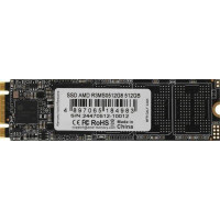 AMD Radeon 512GB (R3MS0512G8)