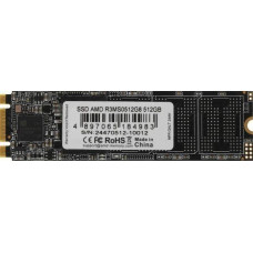 AMD Radeon 512GB (R3MS0512G8)