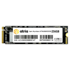 ATRIA 256GB X500S (ATNVMX500S/256)