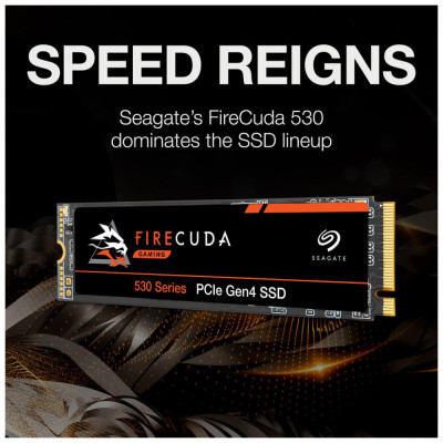 Seagate FireCuda 530 4 TB (ZP4000GM3A013)
