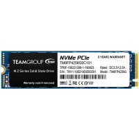TEAM MP34 256 GB (TM8FP4256G0C101)