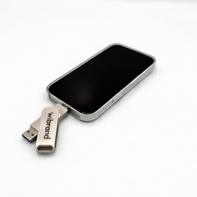 Wibrand Wolf 512 GB Silver (WIEXSSD/WO512GB)