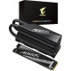 Gigabyte AORUS Gen5 12000 2TB (AG512K2TB)