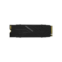 Acer Predator GM7000 Heatsink 2 TB (BL.9BWWR.123)