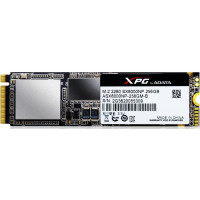 ADATA XPG SX8000 256 GB (ASX8000NP-256GM-C)