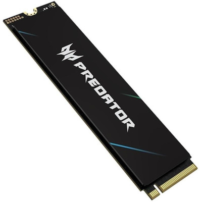 Acer Predator GM9 2TB (BL.9BWWR.137)