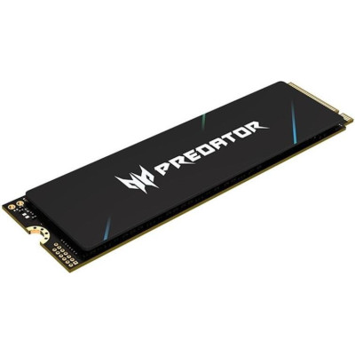 Acer Predator GM9 2TB (BL.9BWWR.137)