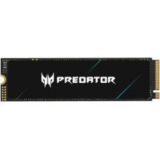 Acer Predator GM6 4 TB (BL.9BWWR.135)