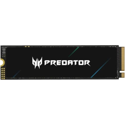 Acer Predator GM6 4 TB (BL.9BWWR.135)