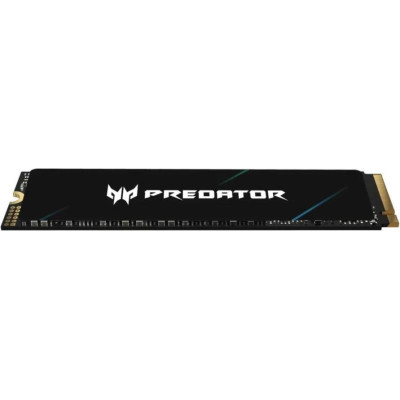Acer Predator GM6 4 TB (BL.9BWWR.135)