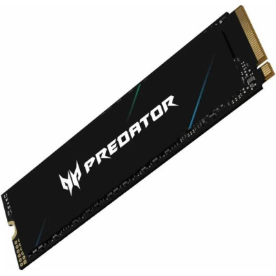 Acer Predator GM6 4 TB (BL.9BWWR.135)