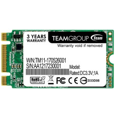 TEAM Lite M.2 128 GB (TM4PS5128GMC101)