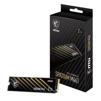 MSI Spatium M461 2TB (S78-440Q550-P83)