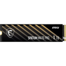 MSI Spatium M470 Pro 1 TB (S78-440L0J0-P83)