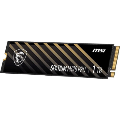 MSI Spatium M470 Pro 1 TB (S78-440L0J0-P83)