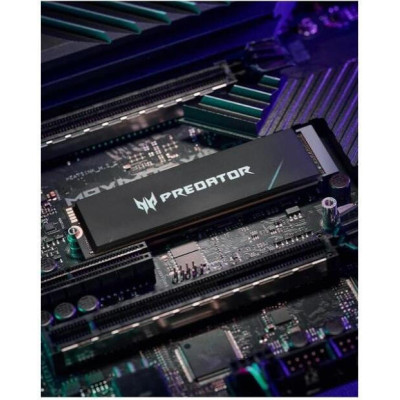 Acer Predator GM7000 4 TB (BL.9BWWR.107)