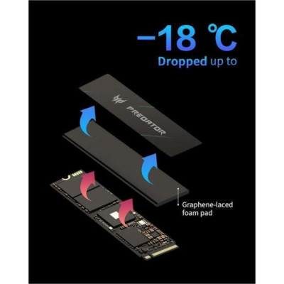 Acer Predator GM7000 4 TB (BL.9BWWR.107)